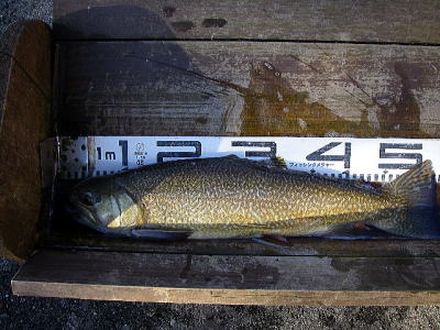 「良かったですね」ってスタッフさん